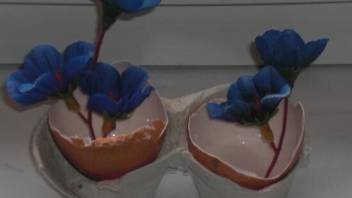 Zwei Eierschalen-Vasen halten blaue Kunstblumen in einem Eierkarton, auf einer wei&szlig;en Oberfl&auml;che stehend.