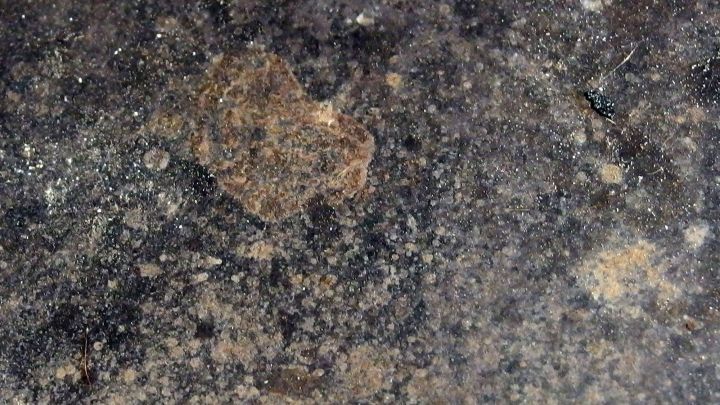 Braune hartn&auml;ckige Flecken sind auf einer dunklen Herdplatte sichtbar, die nicht gereinigt wurde.