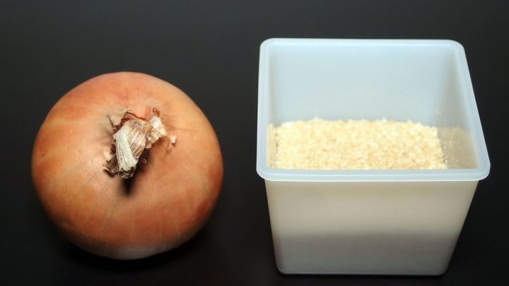 Eine Zwiebel liegt neben einem Beh&auml;lter mit braunem Zucker, was eine nat&uuml;rliche Zubereitung f&uuml;r Hustenmittel darstellt.