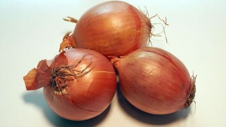 Drei Zwiebeln liegen nebeneinander auf einem hellen Hintergrund und sind bereit, zum einfachen Zwiebel pellen verwendet zu werden.