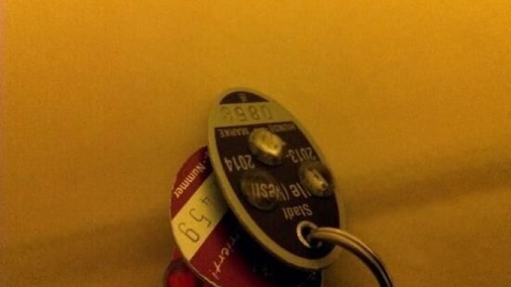 Hundemarken liegen auf einer Oberfl&auml;che, w&auml;hrend sie leise klappern. Sie sind rot und schwarz und h&auml;ngen an einem Schl&uuml;sselring.