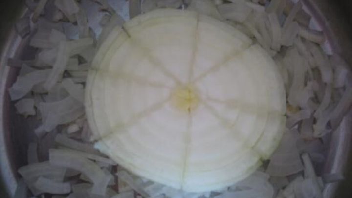 Zwiebel liegt in einem Topf, fein geschnitten vom Allesschneider, umgeben von d&uuml;nnen, transparenten Zwiebelscheiben.