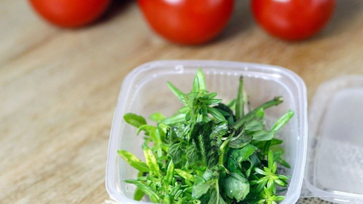 Frische Kr&auml;uter liegen in einer durchsichtigen Box, w&auml;hrend im Hintergrund rote Tomaten auf einem Holzuntergrund zu sehen sind.