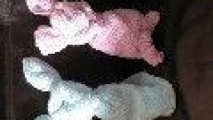 Zwei geh&auml;kelte Osterhasen in Pastellfarben liegen auf einem braunen Sofa, bereit f&uuml;r ein Last Minute-Ostern.