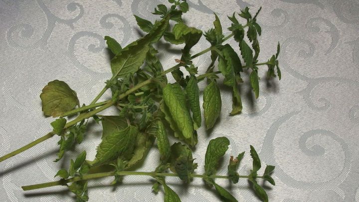 Frische Kr&auml;uter liegen auf einem eleganten Tisch mit einer geschwungenen Musterung, bereit zum Gebrauch in der K&uuml;che.