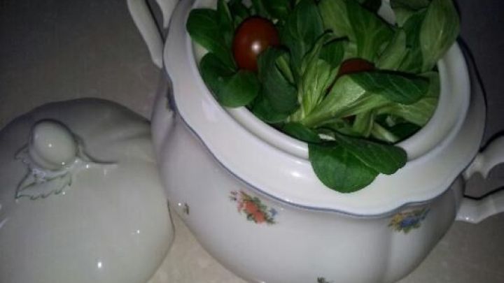 Frischer Salat in einer eleganten Sch&uuml;ssel mit Deckel, bereit f&uuml;r das Grillen und zum Schutz vor Fliegen und Wespen.