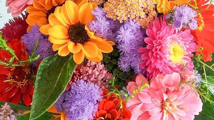 Ein bunter Blumenstrau&szlig; mit verschiedenen Blumenarten bl&uuml;ht lebhaft und bringe Frische in einen hellen Raum.