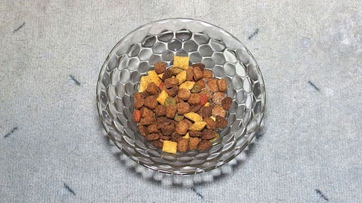 Eine Sch&uuml;ssel mit Trockenfutter und kleinen, gelben St&uuml;ckchen steht auf einem hellen Untergrund, w&auml;hrend eine Katze neugierig schaut.