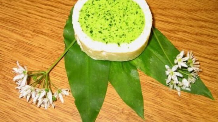 Eine runde B&auml;rlauchbutter sitzt auf gro&szlig;en Bl&auml;ttern, umgeben von wei&szlig;en Bl&uuml;ten, und zeigt eine leuchtend gr&uuml;ne Farbe.