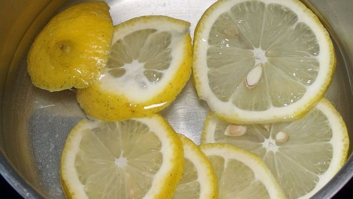 Frische Zitronenscheiben liegen in einem Topf mit Wasser, um eine nat&uuml;rliche L&ouml;sung gegen Blattl&auml;use und Spinnmilben herzustellen.