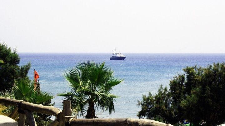 Schiff f&auml;hrt auf ruhigem Meer, umgeben von Palmen vor einem Holzzaun an einem sonnigen K&uuml;stenstrand.