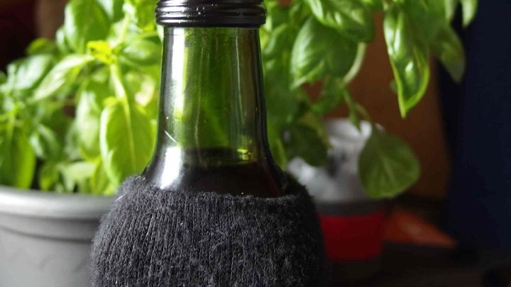 Eine dunkle Glasflasche mit schwarzem Deckel steht im Vordergrund, umgeben von frischem Basilikum in einem Topf.