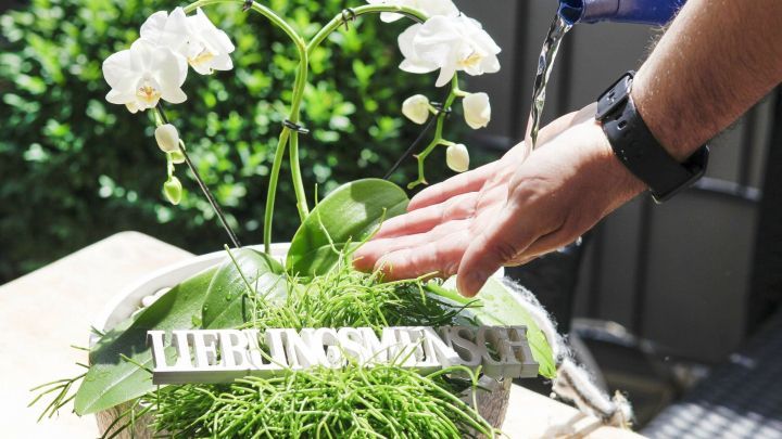 Eine Hand gie&szlig;t sorgf&auml;ltig eine Orchidee in einem Blumentopf mit der Aufschrift &bdquo;LIEBLINGSMENSCH&ldquo; auf einem Holztisch.