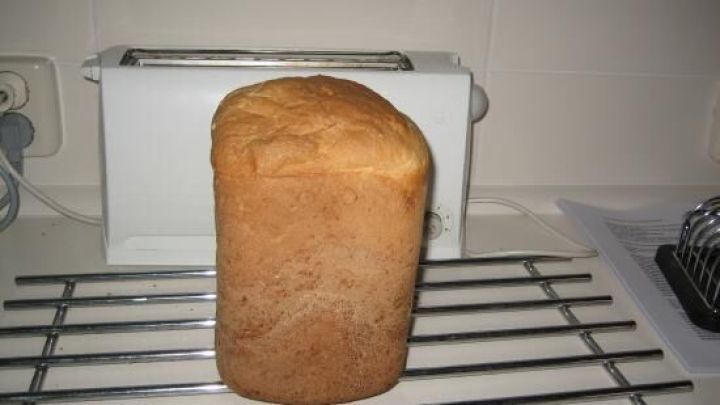 Ein frisch gebackenes Wei&szlig;brot steht alleine auf einem Metallgitter in einer h&auml;uslichen K&uuml;chenk&uuml;che.