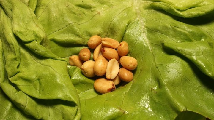 Gr&uuml;ner Salat mit Erdn&uuml;ssen wird in einem frischen, gr&uuml;nen Blatt pr&auml;sentiert, w&auml;hrend die Erdn&uuml;sse in der Mitte angeordnet sind.