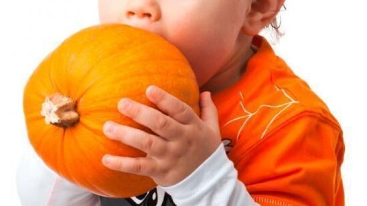 Ein Kleinkind h&auml;lt einen K&uuml;rbis vor sich, w&auml;hrend es ihn neugierig betrachtet. Es tr&auml;gt ein orangefarbenes Shirt.