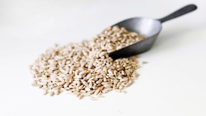 Sonnenblumenkerne liegen verstreut neben einem schwarzen Messl&ouml;ffel auf einem wei&szlig;en Hintergrund.