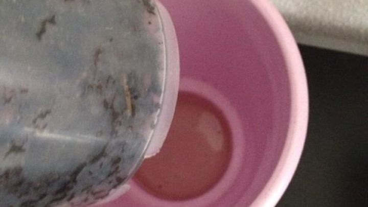 Ein Blumentopf wird mit Erde gef&uuml;llt, w&auml;hrend er auf einem schwarzen Tisch steht, ideal f&uuml;r das Orchideen-Umtopfen.