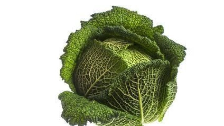 Ein Wirsingkopf liegt auf hellem Hintergrund, mit deutlichen Blattstrukturen, die die gr&uuml;ne Farbe betonen.