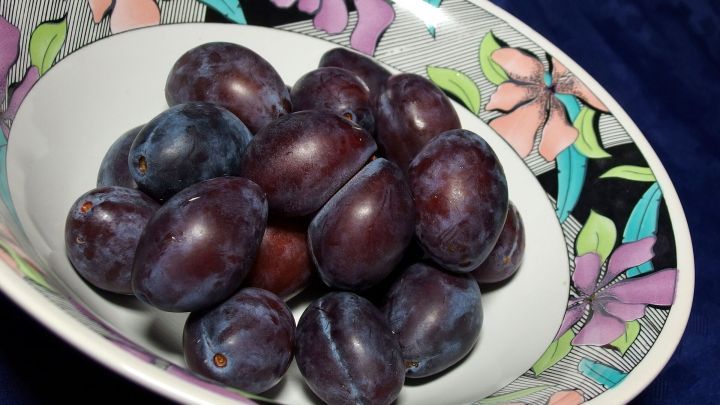 Dunkle Pflaumen liegen auf einem dekorativen Teller, umgeben von bunten Blumenmotiven, bereit f&uuml;r ein Pflaumenkompott ohne Zucker.