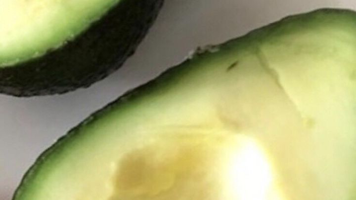 Eine geschnittene Avocado liegt auf einem wei&szlig;en Teller, die cremige Frucht pr&auml;sentiert sich offen mit braunem Kern.