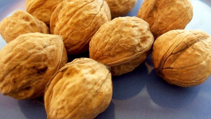 Waln&uuml;sse liegen auf einem blauen Teller, bereit zur Verwendung in selbstgemachtem Walnussmarzipan.