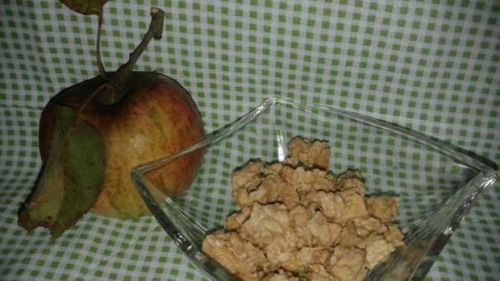 Getrocknete Apfelst&uuml;ckchen in wei&szlig;er Schokolade liegen in einer Sch&uuml;ssel neben einem frischen, ungesch&auml;lten Apfel auf einem karierten Hintergrund.