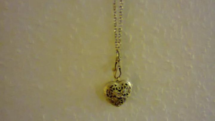 Ein kleiner Anh&auml;nger in Herzform h&auml;ngt an einer feinen Kette, vor einem neutralen, hellen Hintergrund.