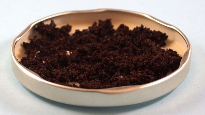 Ein Teller mit feinem Kaffeepulver steht auf einer hellblauen Oberfl&auml;che, bereit, um Ger&uuml;che aus Schraubdeckeln zu entfernen.