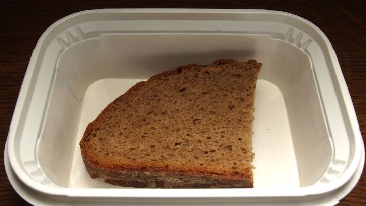 Eine kostenlose Brotdose enth&auml;lt ein St&uuml;ck Vollkornbrot, das allein auf einem wei&szlig;en Untergrund liegt.