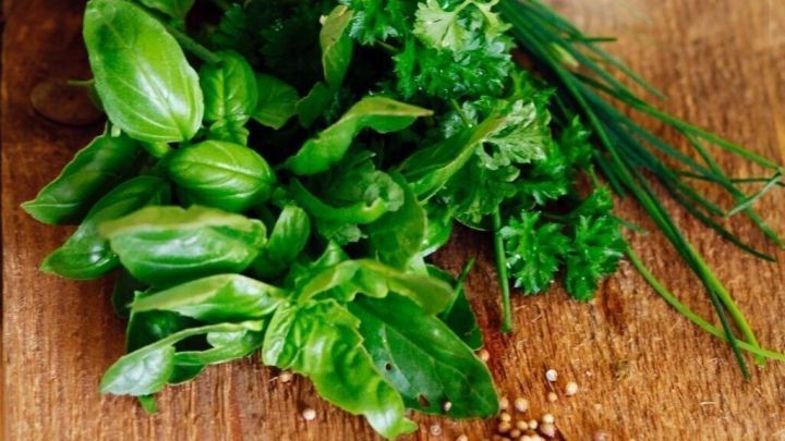 Frische Kr&auml;uter wie Basilikum und Petersilie liegen auf einem Holztisch, neben Gew&uuml;rzen in Schalen.