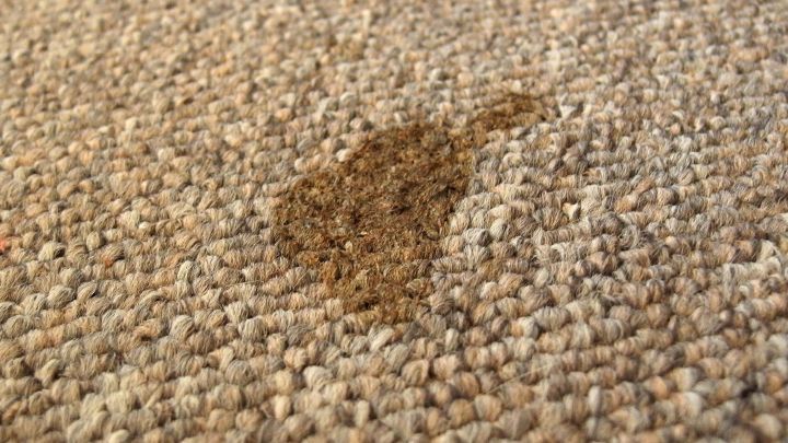 Ein unschöner Flecken ist auf einem herkömmlichen Teppich sichtbar, der eine Reinigung mit Küchen-Fettlöser benötigt.