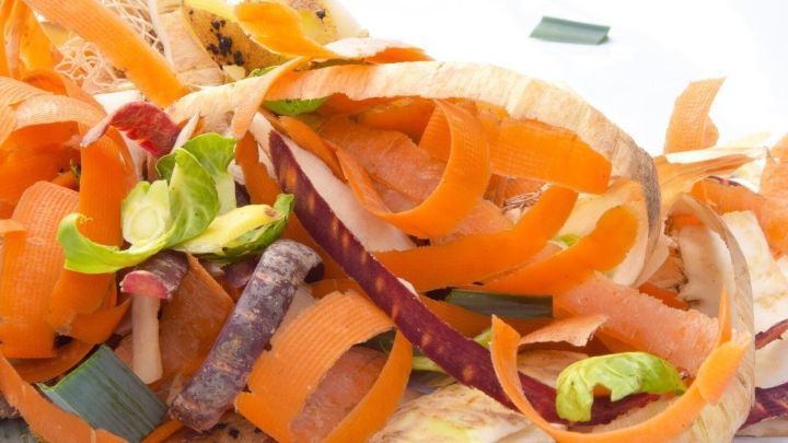 Bunte Obst- und Gem&uuml;seschalen liegen kreativ zusammengemischt auf einem wei&szlig;en Teller, ideal als Vogelfutter.