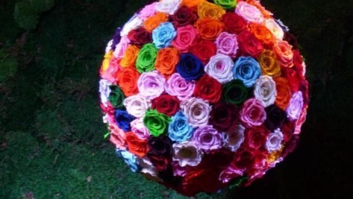 Blumenball aus bunten Rosen h&auml;ngt im Dunkeln, im Hintergrund moosiger Pflanzenhintergrund von einer Pflanzenmesse.