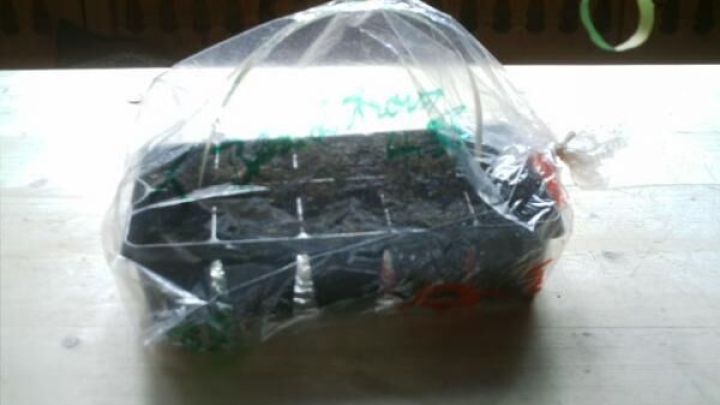 Eine schwarze Setzling-Schale steckt in einer durchsichtigen Kunststofft&uuml;te, die mit Text &uuml;berzogen ist, auf einem Tisch.