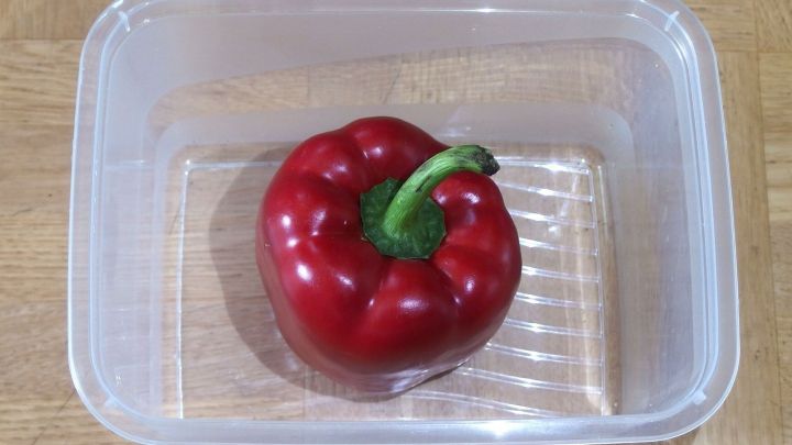 Eine rote Paprika liegt in einer klaren Plastikschale, bereit zur Lagerung, um l&auml;nger frisch zu bleiben.