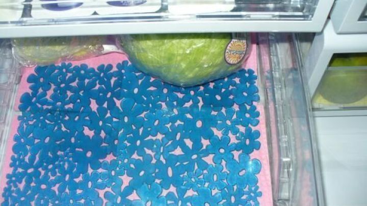 In einem K&uuml;hlschrank liegt eine blaue Sp&uuml;lbeckeneinlage auf einer Ablage, um frisches Gem&uuml;se aufzubewahren.