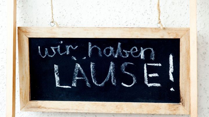 Eine Tafel zeigt die Nachricht &bdquo;wir haben L&Auml;USE!&ldquo; in wei&szlig;er Schrift auf schwarzem Hintergrund, aufgeh&auml;ngt an einer Wand.