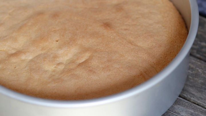 Ein runder, goldbrauner Biskuitkuchen ruht in einer Backform auf einer rustikalen Holzfl&auml;che, bereit zum Dekorieren.