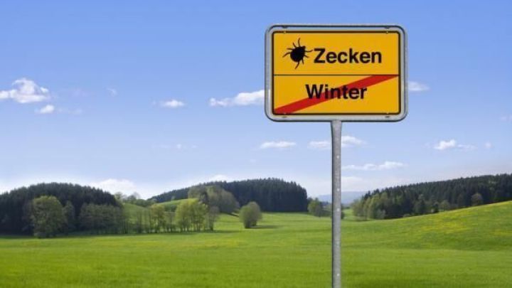 Ein gelbes Schild zeigt eine durchgestrichene Aufschrift "Zecken Winter" vor einer gr&uuml;nen Fr&uuml;hlingslandschaft mit blauem Himmel.