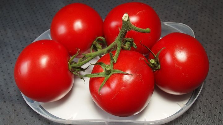 Eine Schale mit f&uuml;nf reifen, roten Tomaten liegt auf einer grauen Oberfl&auml;che, bereit f&uuml;r den Einkauf.