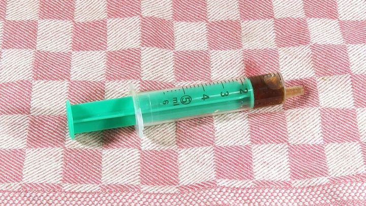 Eine Spritze liegt auf einem karierten Tuch, bereit, einer Katze Medikamente zu verabreichen.