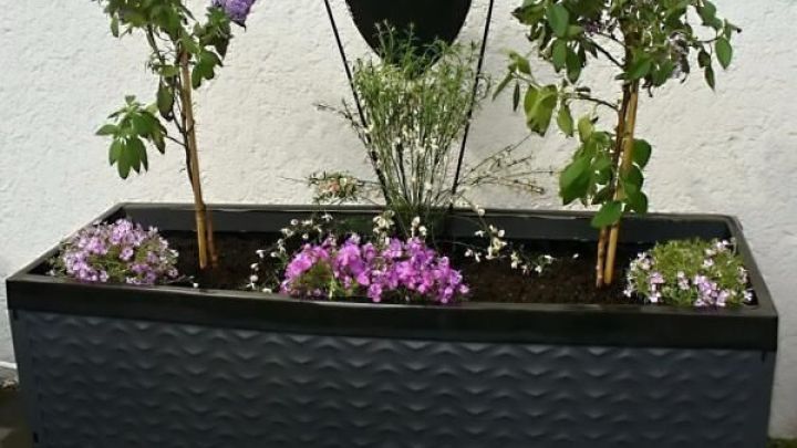 Auflagenbox wird als Pflanzcontainer genutzt. Darin sind bl&uuml;hende Pflanzen arrangiert, vor einer wei&szlig;en Wand stehend.
