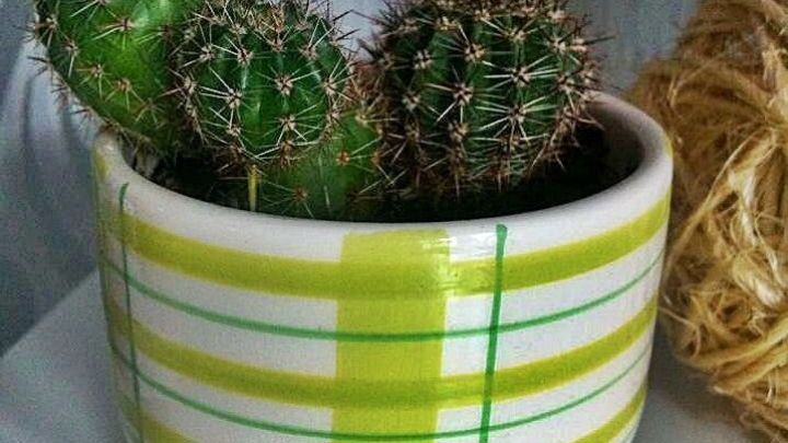 Ein kleiner Kaktus sitzt in einem gr&uuml;n-wei&szlig; gestreiften Blumentopf, auf einem Tisch neben dekorativer Schnur.