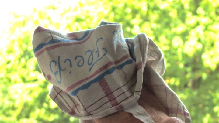 Ein Handtuch wird benutzt, um Fenster streifenfrei zu putzen, w&auml;hrend im Hintergrund gr&uuml;ne Bl&auml;tter sichtbar sind.