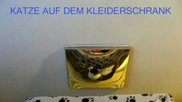 Ein Spiegel reflektiert eine Katze, die oben auf einem Kleiderschrank liegt. Der Text lautet: "KATZE AUF DEM KLEIDERSCHRANK".