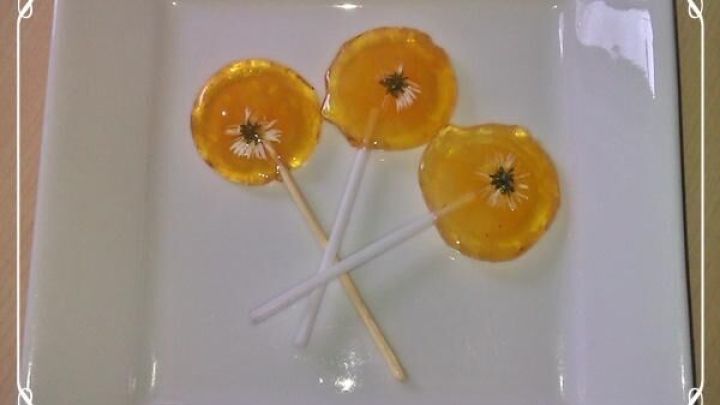 Orangen-Lutscher mit Gänseblümchen selbstgemacht - Rezept | Frag Mutti