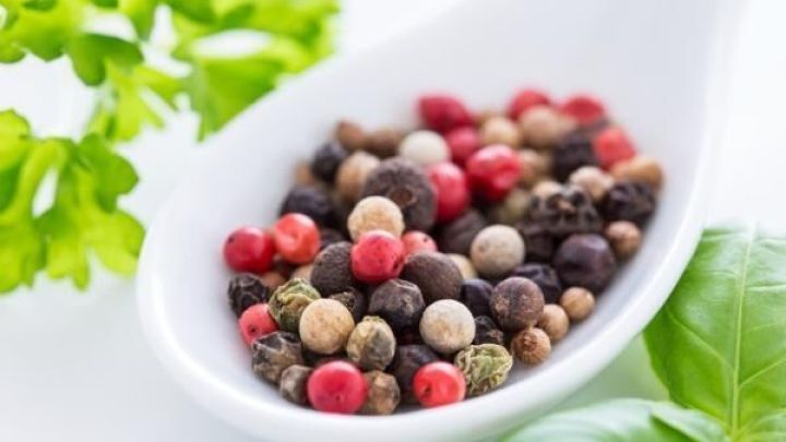 Eine Mischung aus buntem Pfeffer liegt auf einem wei&szlig;en L&ouml;ffel, umgeben von frischen gr&uuml;nen Kr&auml;utern.