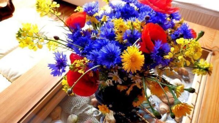 Ein bunter Blumenstrau&szlig; mit blauen, roten und gelben Bl&uuml;ten steht auf einem Couchtisch, umgeben von Muscheln und Holzm&ouml;beln.