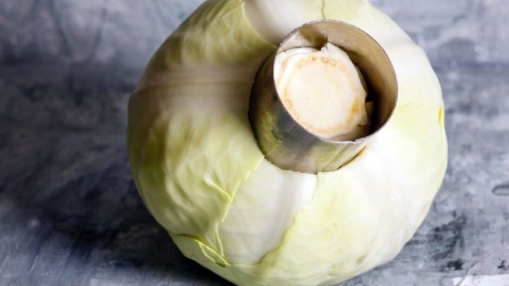 Wei&szlig;kohl liegt auf einer grauen Oberfl&auml;che, w&auml;hrend ein runder Strunk entfernt wird, um ihn f&uuml;r die Verwendung vorzubereiten.